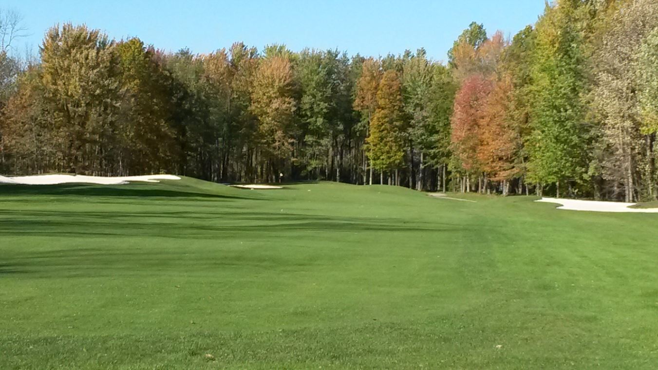 Golf Course 2015 245